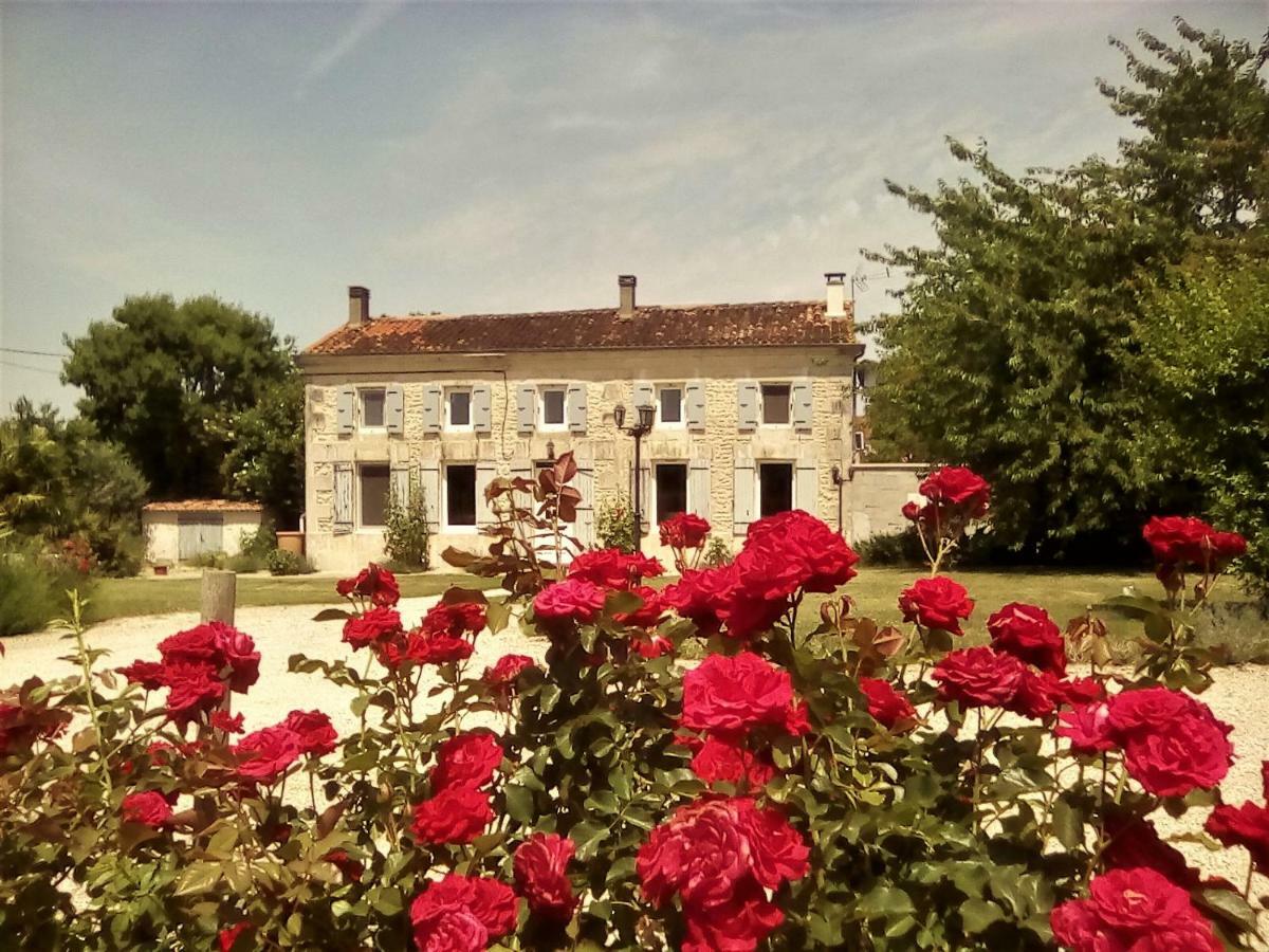 Maison Lavande Bed and Breakfast Saint-Jean-dʼAngély Eksteriør billede